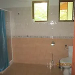 Fisherman's Hut Family 3* Beden
