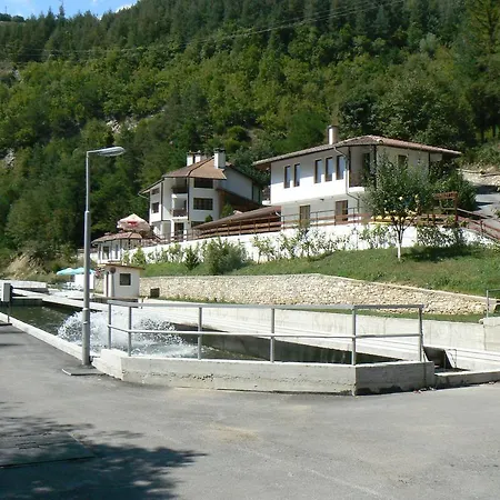 Fisherman's Hut Family