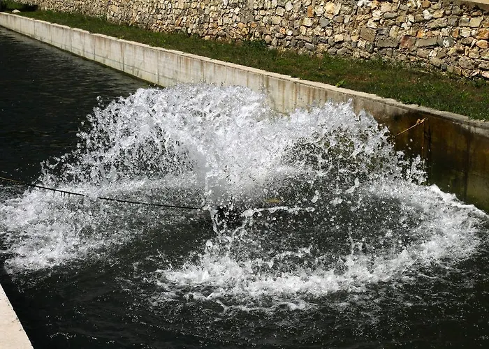 Fisherman's Hut Family
